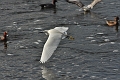 05 03 15_2328_edited-1